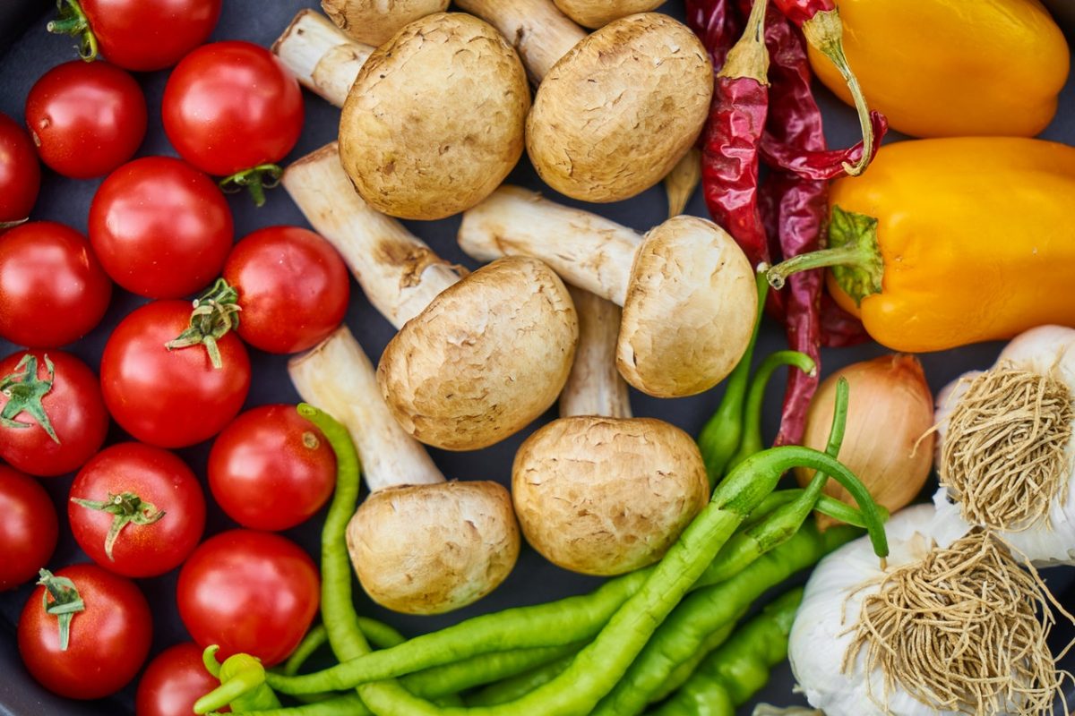 kiểm dịch thực vật là gì?