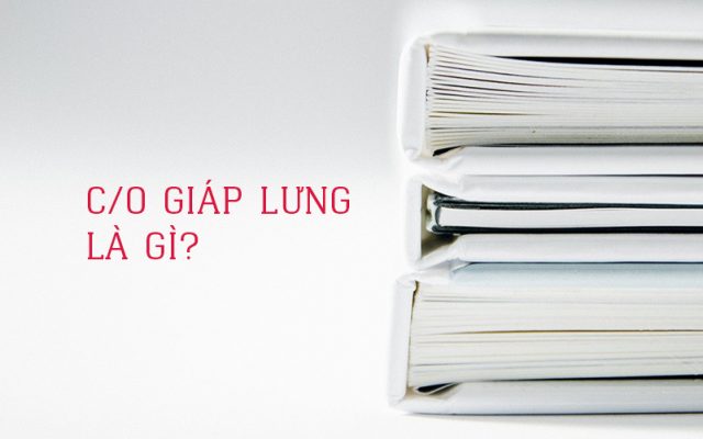 C/O giáp lưng