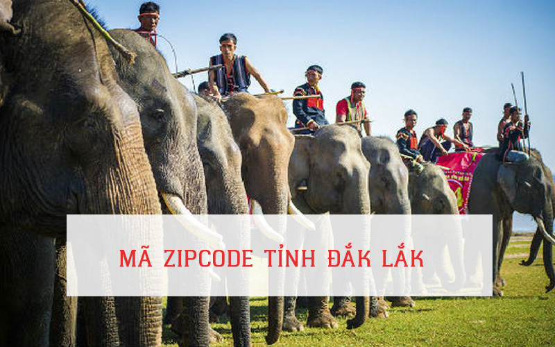 MÃ ZIP CODE TỈNH ĐẮK LẮK