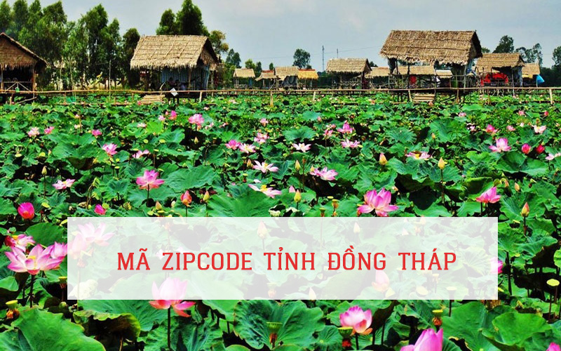 MÃ ZIP CODE TỈNH ĐỒNG THÁP