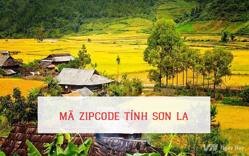 MÃ ZIP CODE TỈNH SƠN LA
