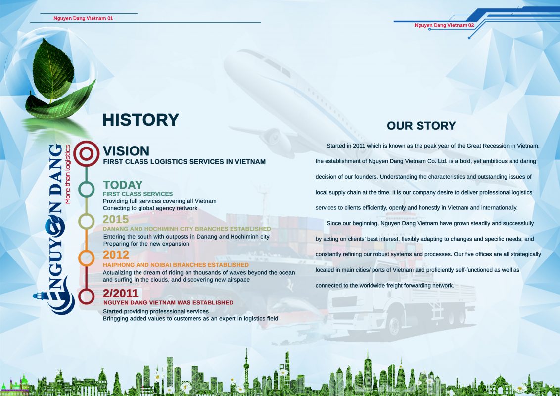 NGUYEN DANG VIET NAM CAPACITY PROFILE