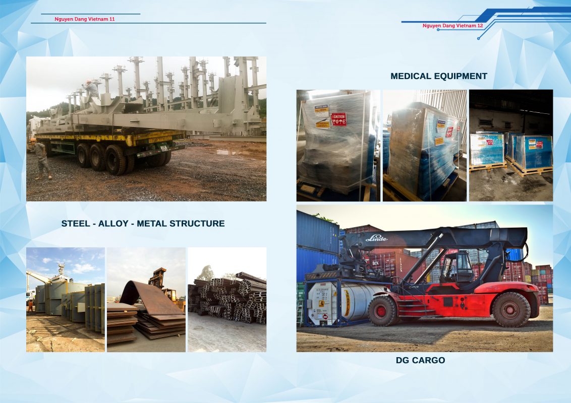 NGUYEN DANG VIET NAM CAPACITY PROFILE