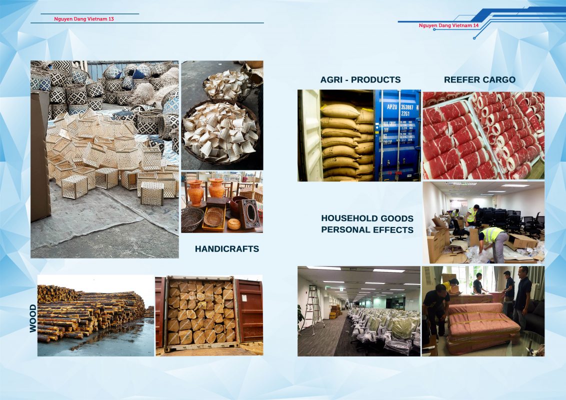 NGUYEN DANG VIET NAM CAPACITY PROFILE