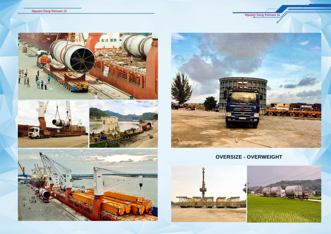 NGUYEN DANG VIET NAM CAPACITY PROFILE