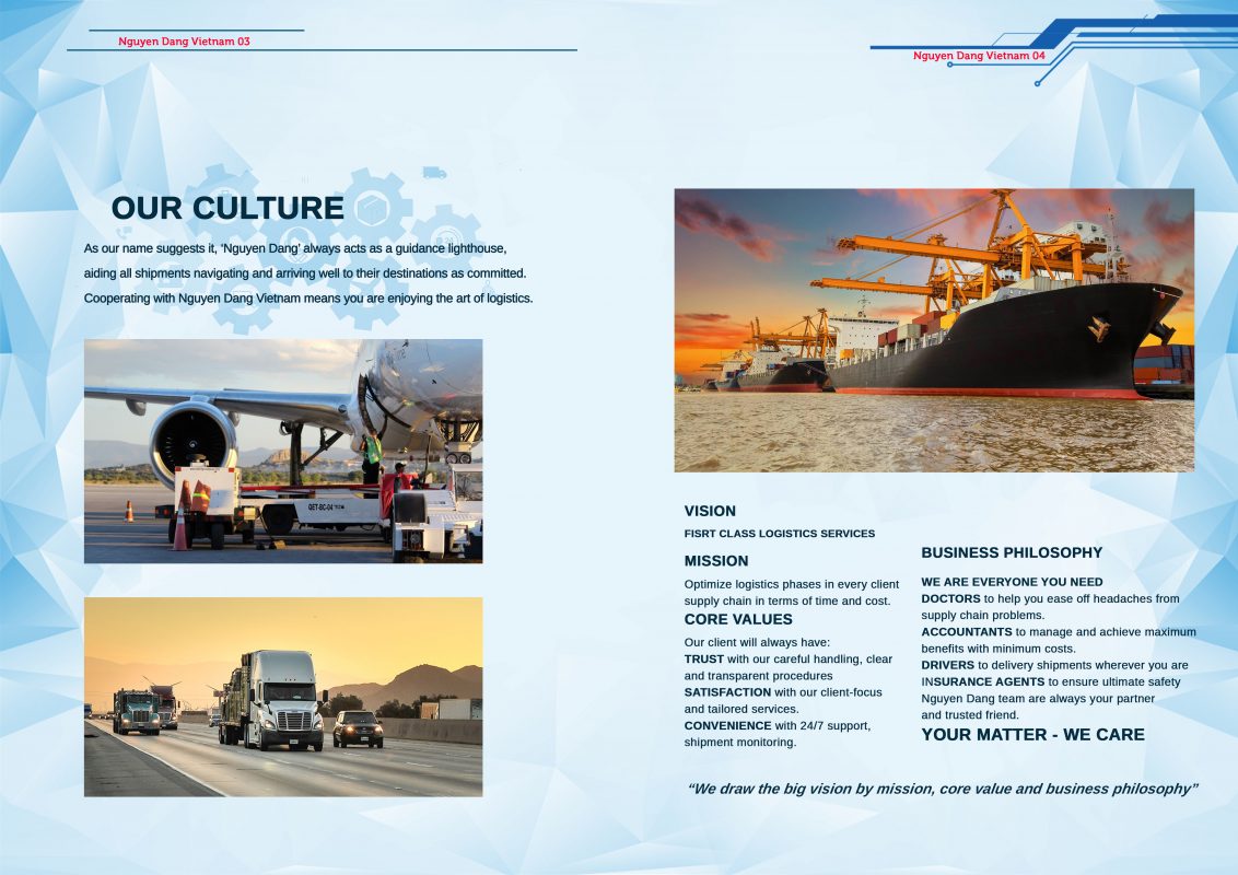 NGUYEN DANG VIET NAM CAPACITY PROFILE