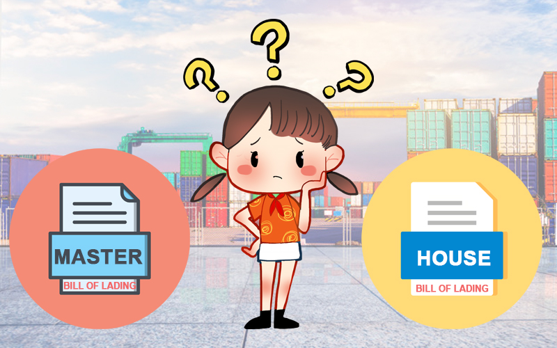 So sánh Master Bill (MBL) và House Bill (HBL)