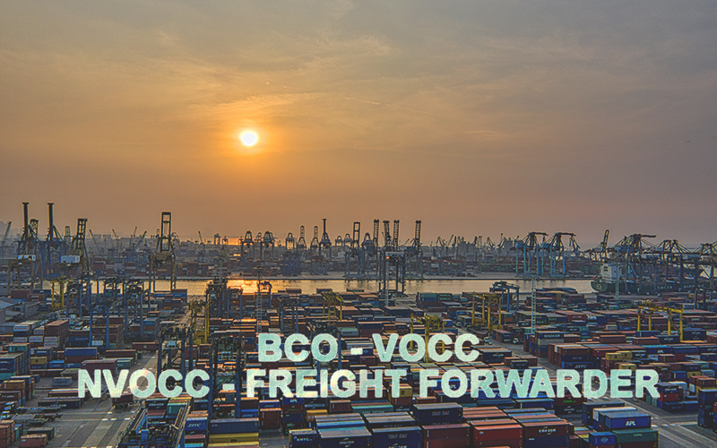 BCO, VOCC, NVOCC Và Freight Forwarder