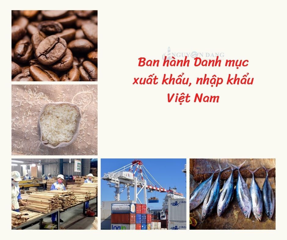 ban hành danh mục XNK Việt Nam