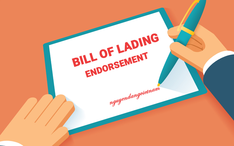 Kí hậu vận đơn (Bill of Lading Endorsement) là gì? Các loại kí hậu Bill of Lading thường thấy