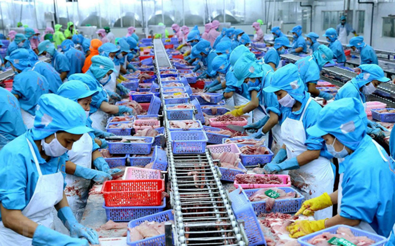 Tạm dừng nhập khẩu thực phẩm đông lạnh tại Trạm Giang (Trung Quốc)