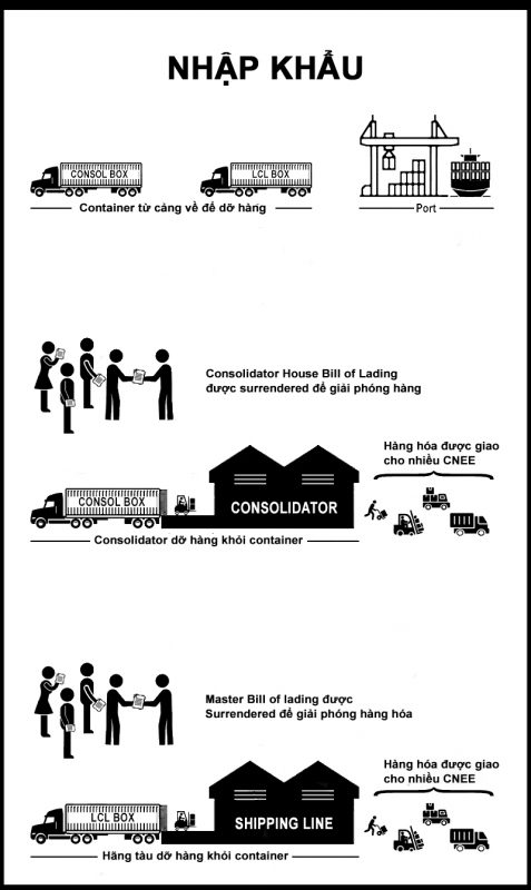 Consol vs Shipping line nhập khẩu
