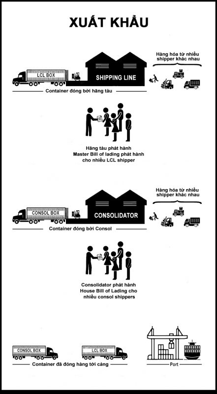 Consol Vs Shipping line trong xuất khẩu