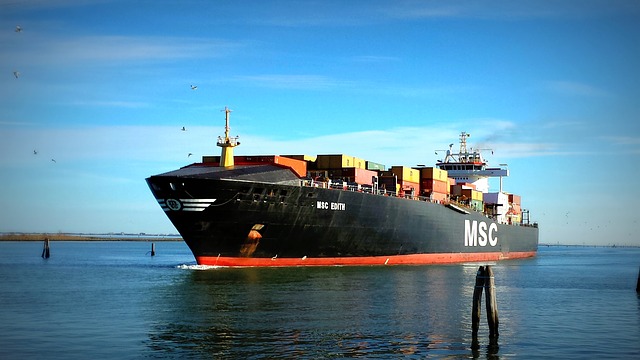 MSC Lines