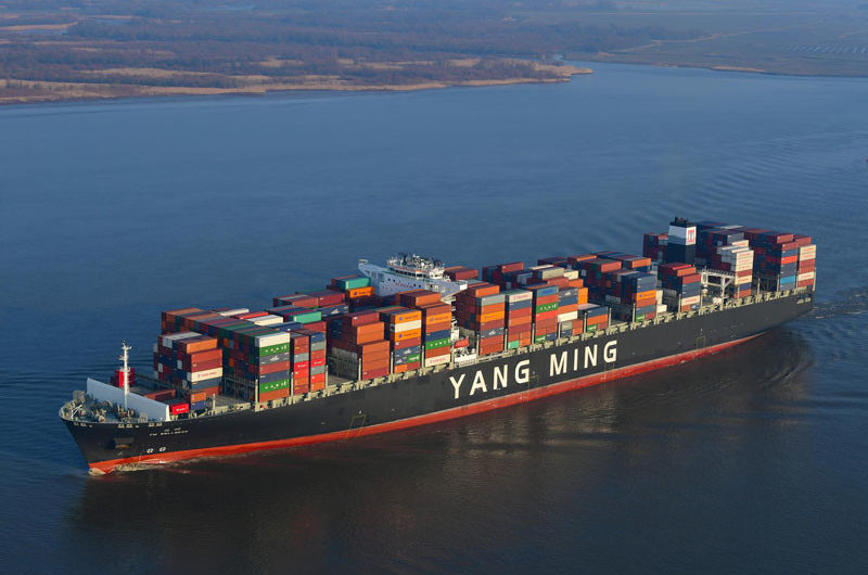 yangming