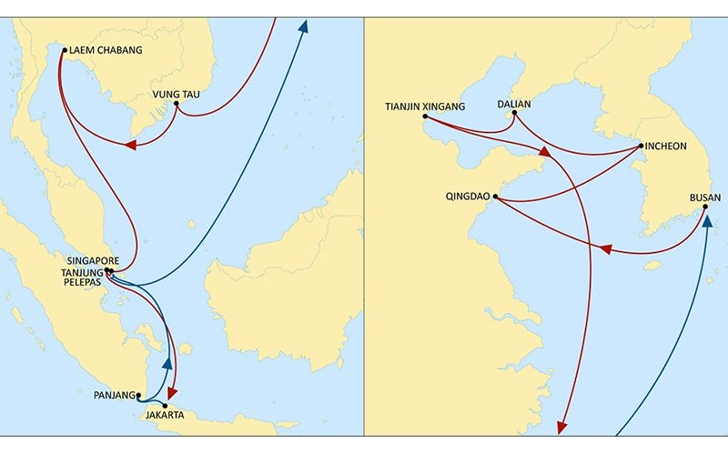 MSC ra mắt tuyến dịch vụ nội Á mới qua cảng Vũng Tàu