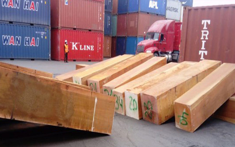 Thủ tục nhập khẩu gỗ jatoba dạng xẻ