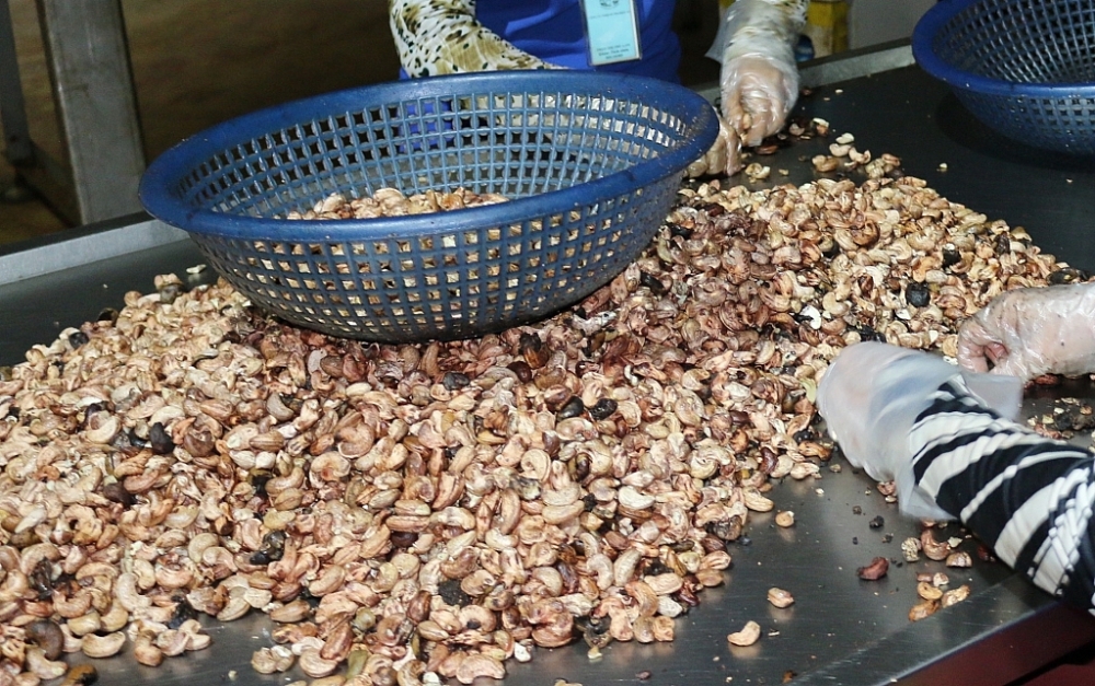 Điều kiện để được miễn thuế hàng NK thực hiện hợp đồng hợp tác sản xuất