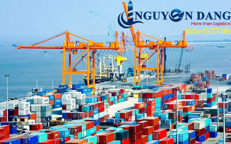 Thủ tục nhập khẩu cổng trục, cầu trục