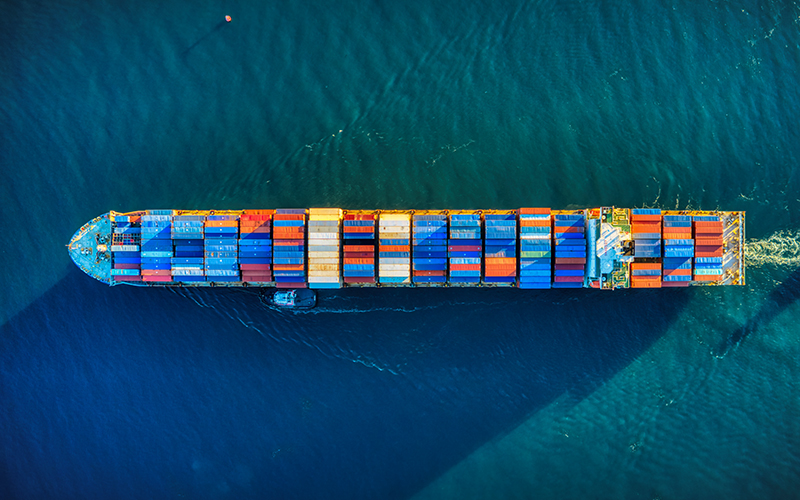 MSC, CMA CGM, Evergreen và Zim phát triển đội tàu nhanh nhất 2022
