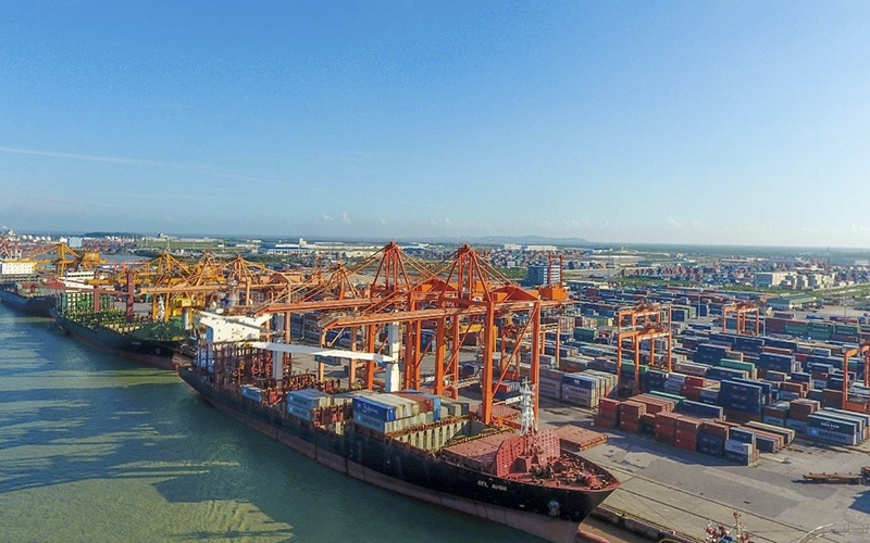Đội tàu biển Việt Nam giảm hơn 400 tàu trong hơn 10 năm