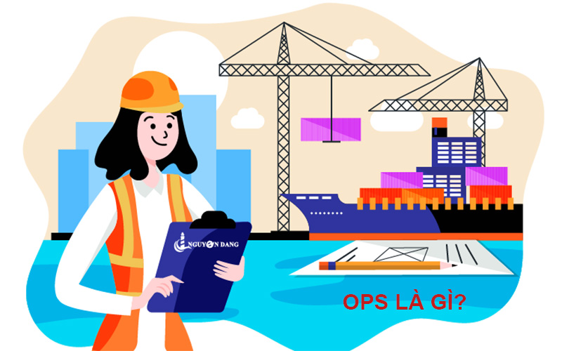 Ops là gì? Vai trò của Ops trong hoặt động xuất nhập khẩu hàng hoá